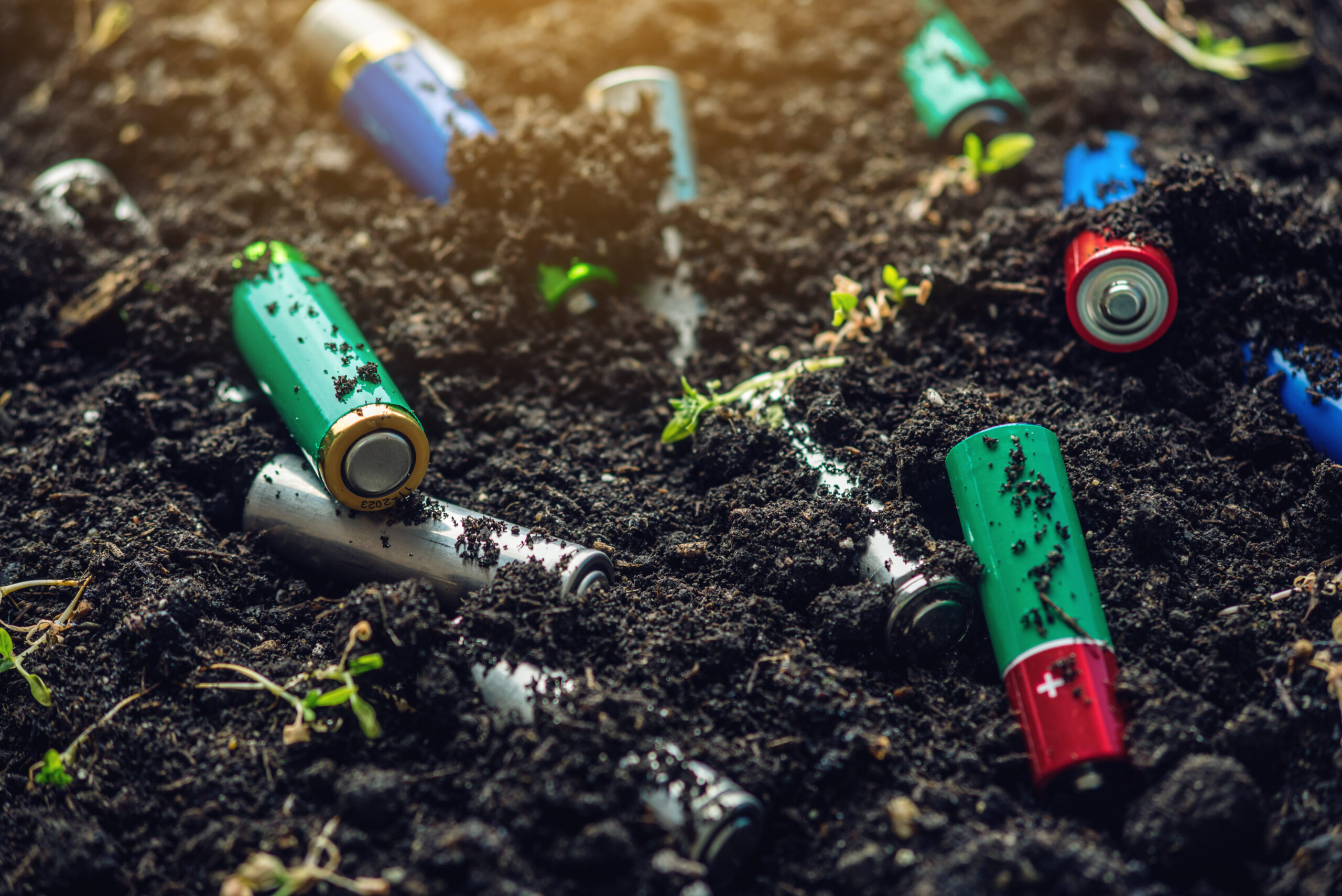 Used alkaline batteries lie in the soil where plants grow. Concept of environmental pollution with toxic household waste