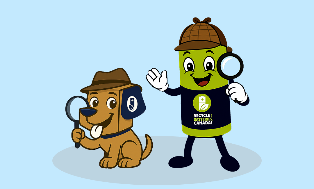 Smarty and Boxer featured image
