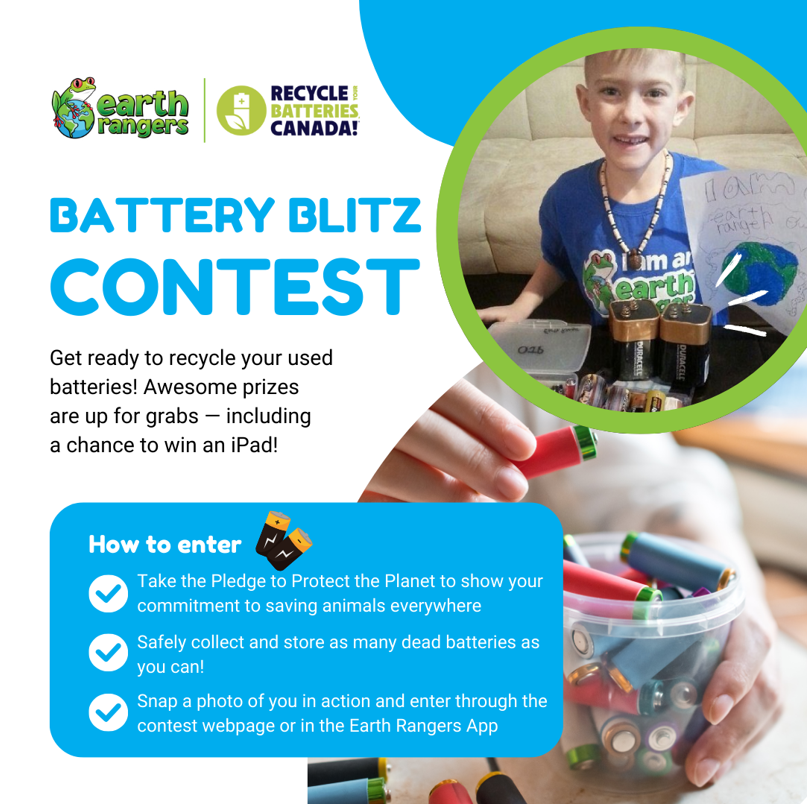 New Battery Blitz Contest